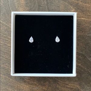 Stainless Steel Teardrop Earrings